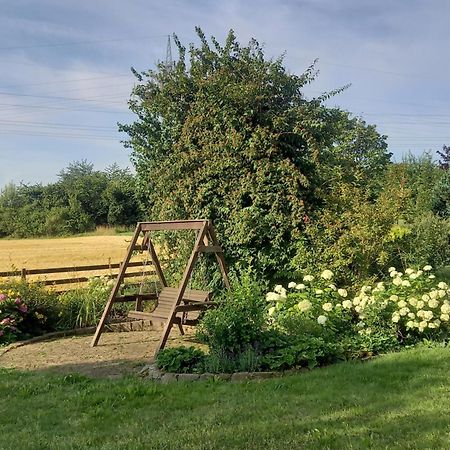 Ferienwohnung Feld Und Wiese Höxter Exterior foto