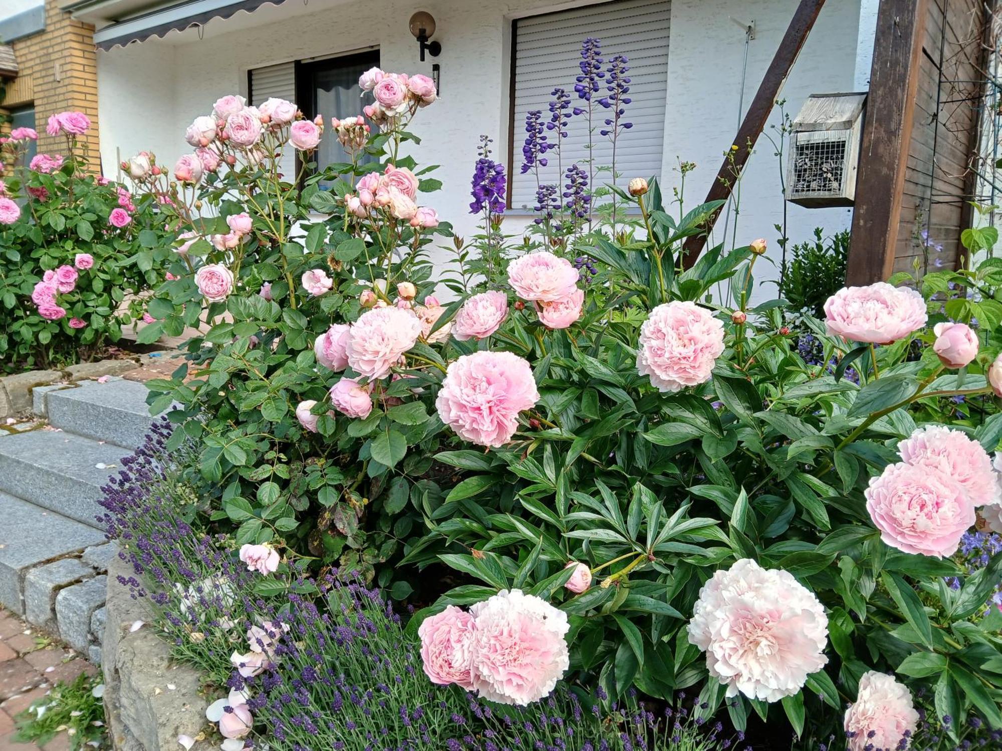 Ferienwohnung Feld Und Wiese Höxter Exterior foto